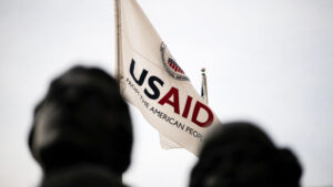 USAID flag